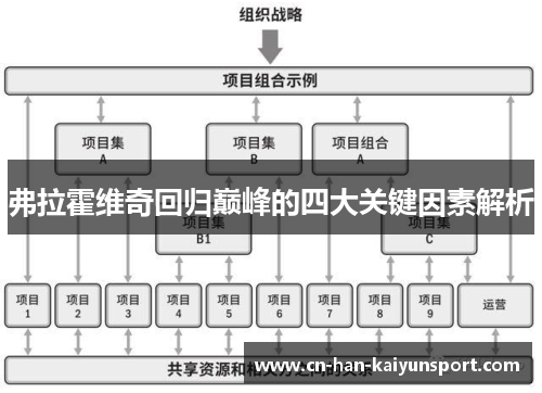 弗拉霍维奇回归巅峰的四大关键因素解析